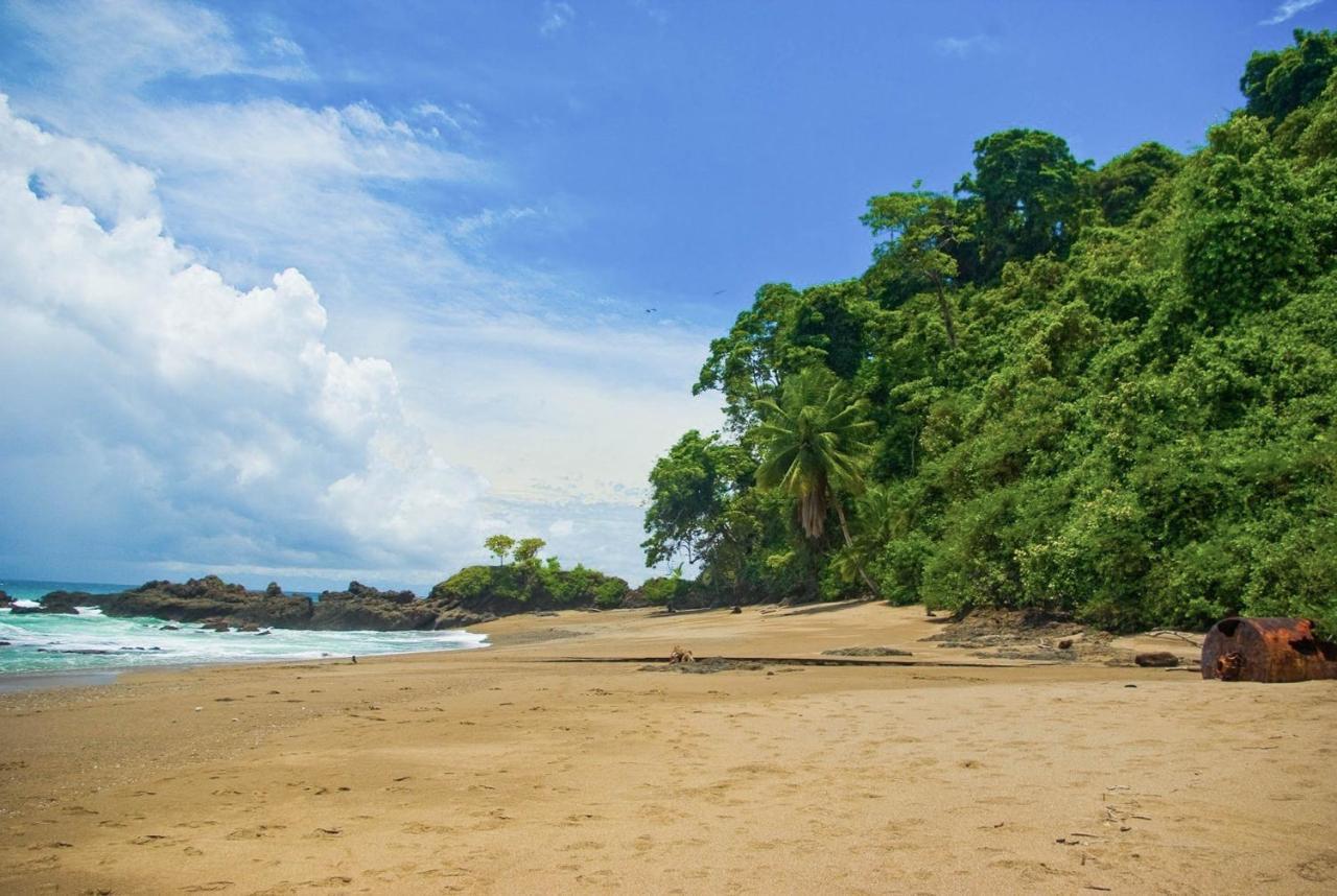 دومينيكال Pacific Edge Eco Lodge المظهر الخارجي الصورة