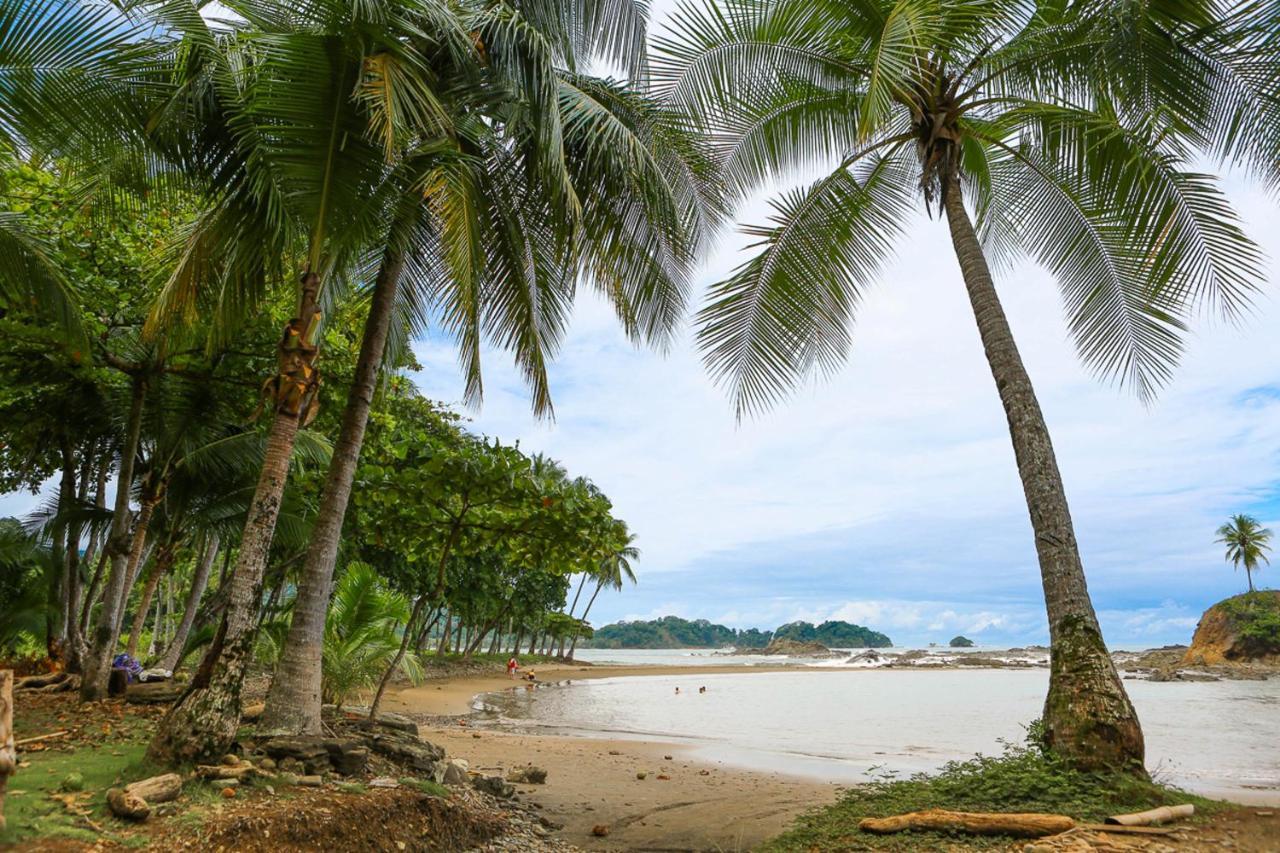 دومينيكال Pacific Edge Eco Lodge المظهر الخارجي الصورة