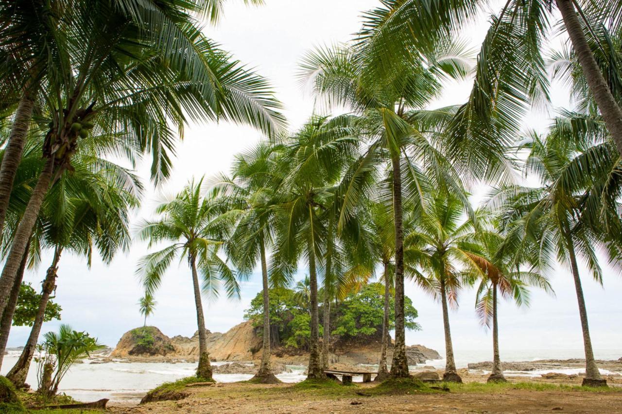 دومينيكال Pacific Edge Eco Lodge المظهر الخارجي الصورة