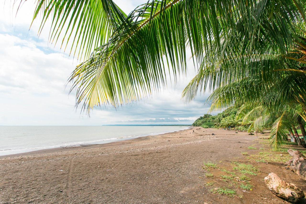 دومينيكال Pacific Edge Eco Lodge المظهر الخارجي الصورة