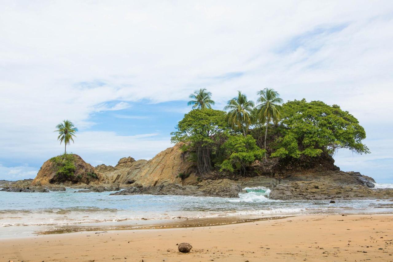 دومينيكال Pacific Edge Eco Lodge المظهر الخارجي الصورة