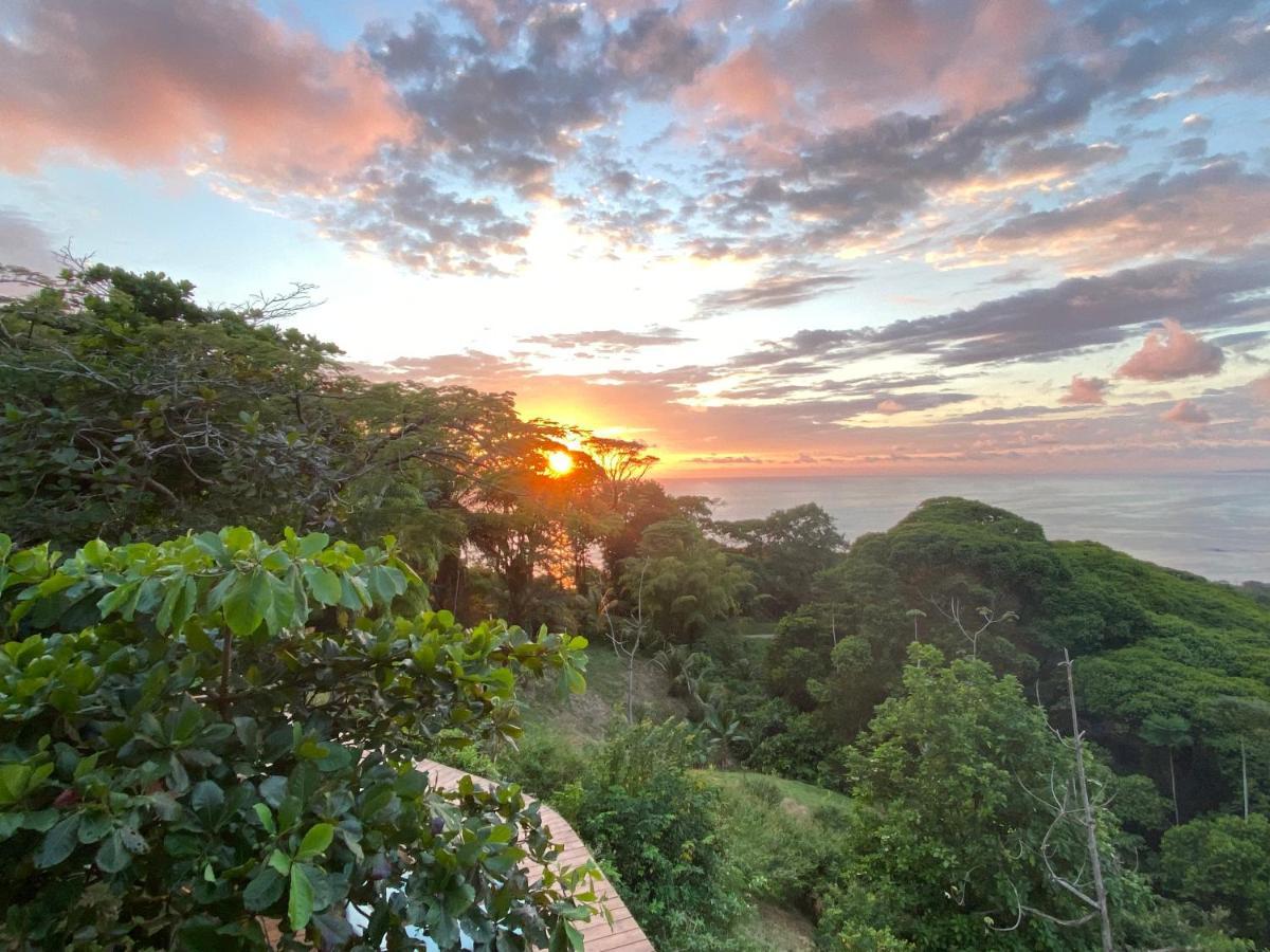 دومينيكال Pacific Edge Eco Lodge المظهر الخارجي الصورة