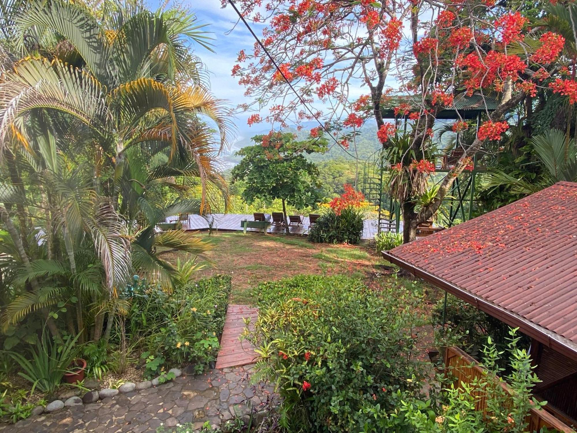 دومينيكال Pacific Edge Eco Lodge المظهر الخارجي الصورة